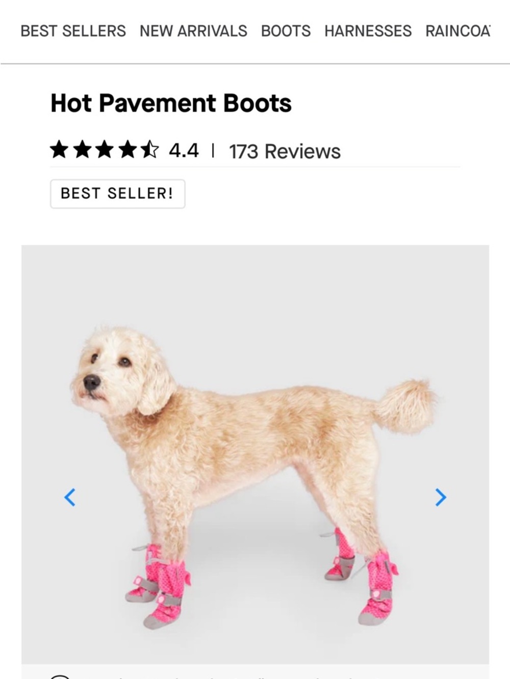 Canada Pooch Hot Pavement Dog Boots